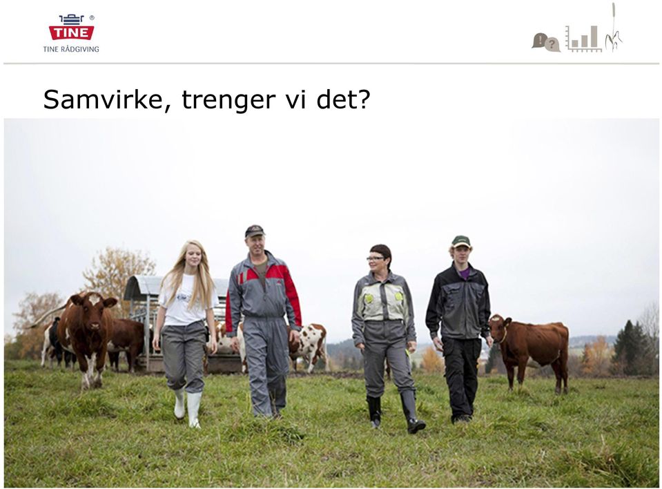 vi det?