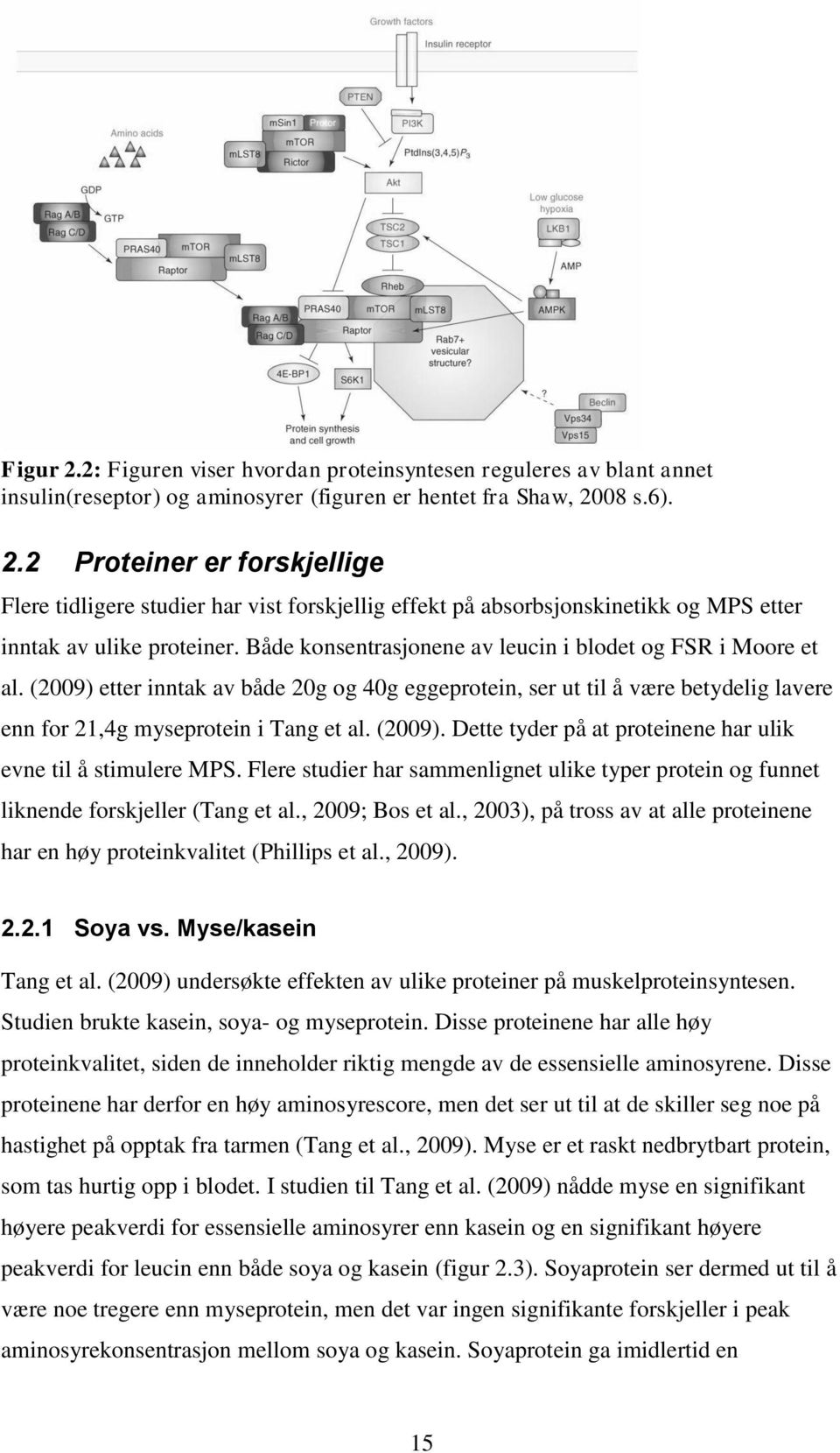 Flere studier har sammenlignet ulike typer protein og funnet liknende forskjeller (Tang et al., 2009; Bos et al., 2003), på tross av at alle proteinene har en høy proteinkvalitet (Phillips et al.