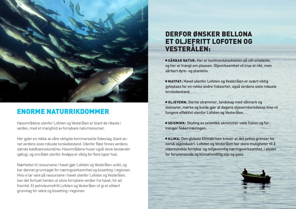 n MATFAT: Havet utenfor Lofoten og Vesterålen er svært viktig gyteplass for en rekke andre fiskearter, også verdens siste robuste torskebestand.