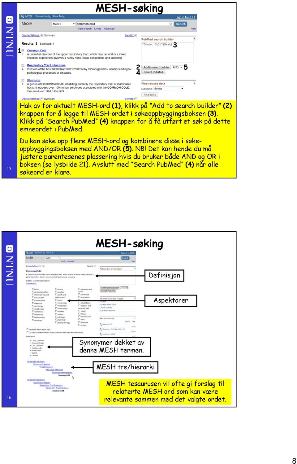Du kan søke opp flere MESH-ord og kombinere disse i søkeoppbyggingsboksen med AND/OR (5). NB!