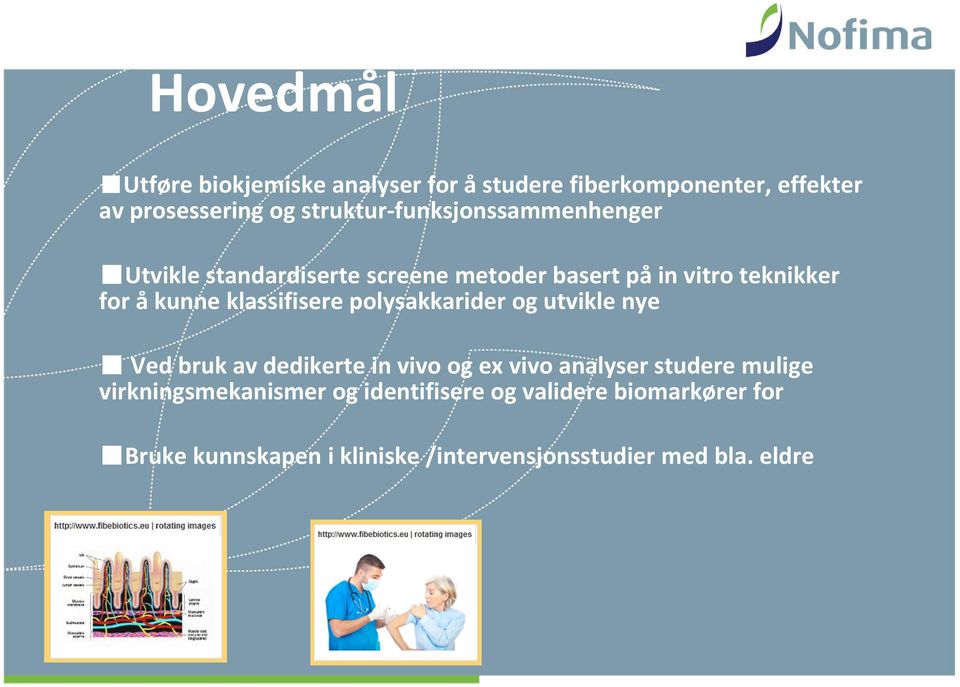 klassifisere polysakkarider og utvikle nye Ved bruk av dedikerte in vivo og ex vivo analyser studere mulige