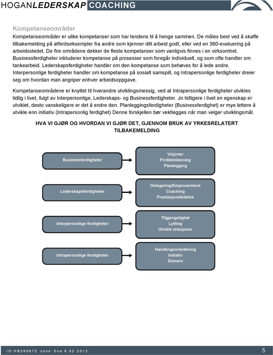 De fire områdene dekker de fleste kompetanser som vanligvis finnes i en virksomhet. Businessferdigheter inkluderer kompetanse på prosesser som foregår individuelt, og som ofte handler om tankearbeid.