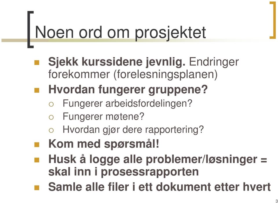 Fungerer arbeidsfordelingen? Fungerer møtene? Hvordan gjør dere rapportering?