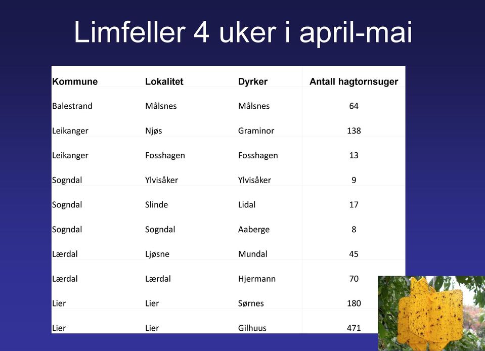 Sogndal Ylvisåker Ylvisåker 9 Sogndal Slinde Lidal 17 Sogndal Sogndal Aaberge 8