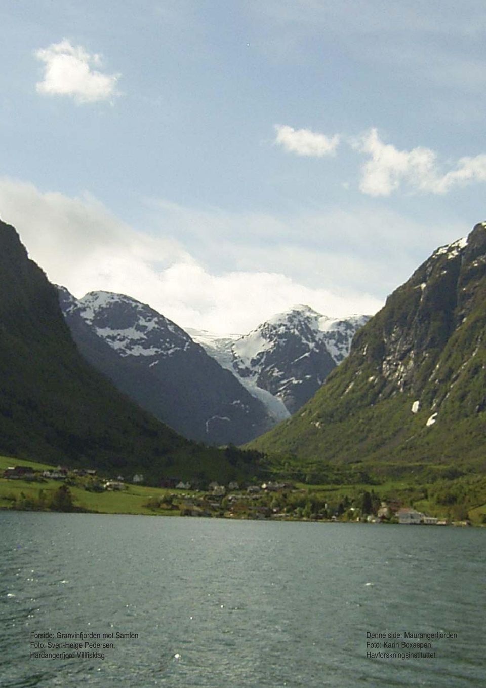 Villfisklag Denne side: Maurangerfjorden