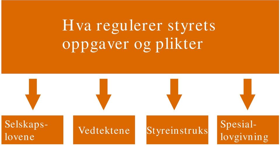 Vedtektene Styreinstruks