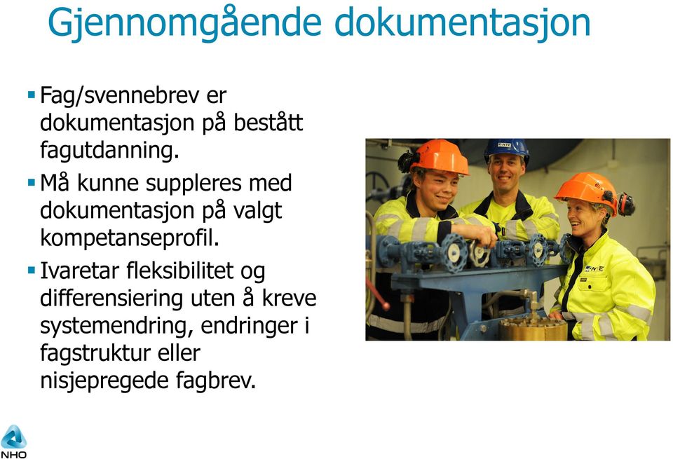 Må kunne suppleres med dokumentasjon på valgt kompetanseprofil.