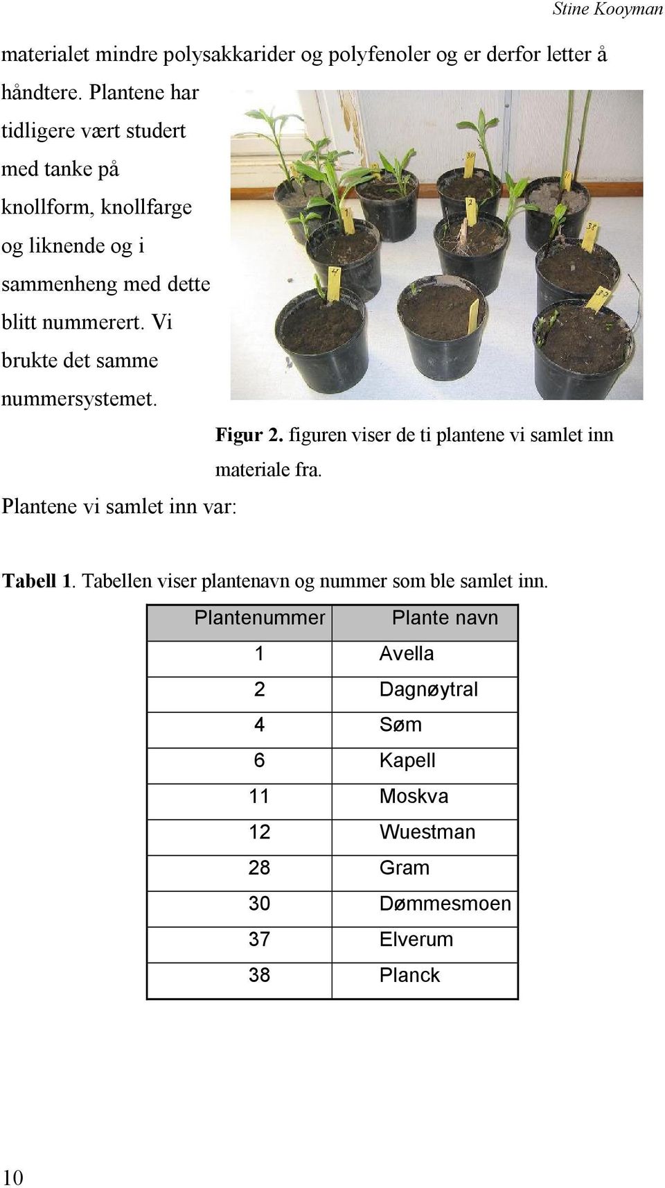 Vi brukte det samme nummersystemet. Figur 2. figuren viser de ti plantene vi samlet inn materiale fra.