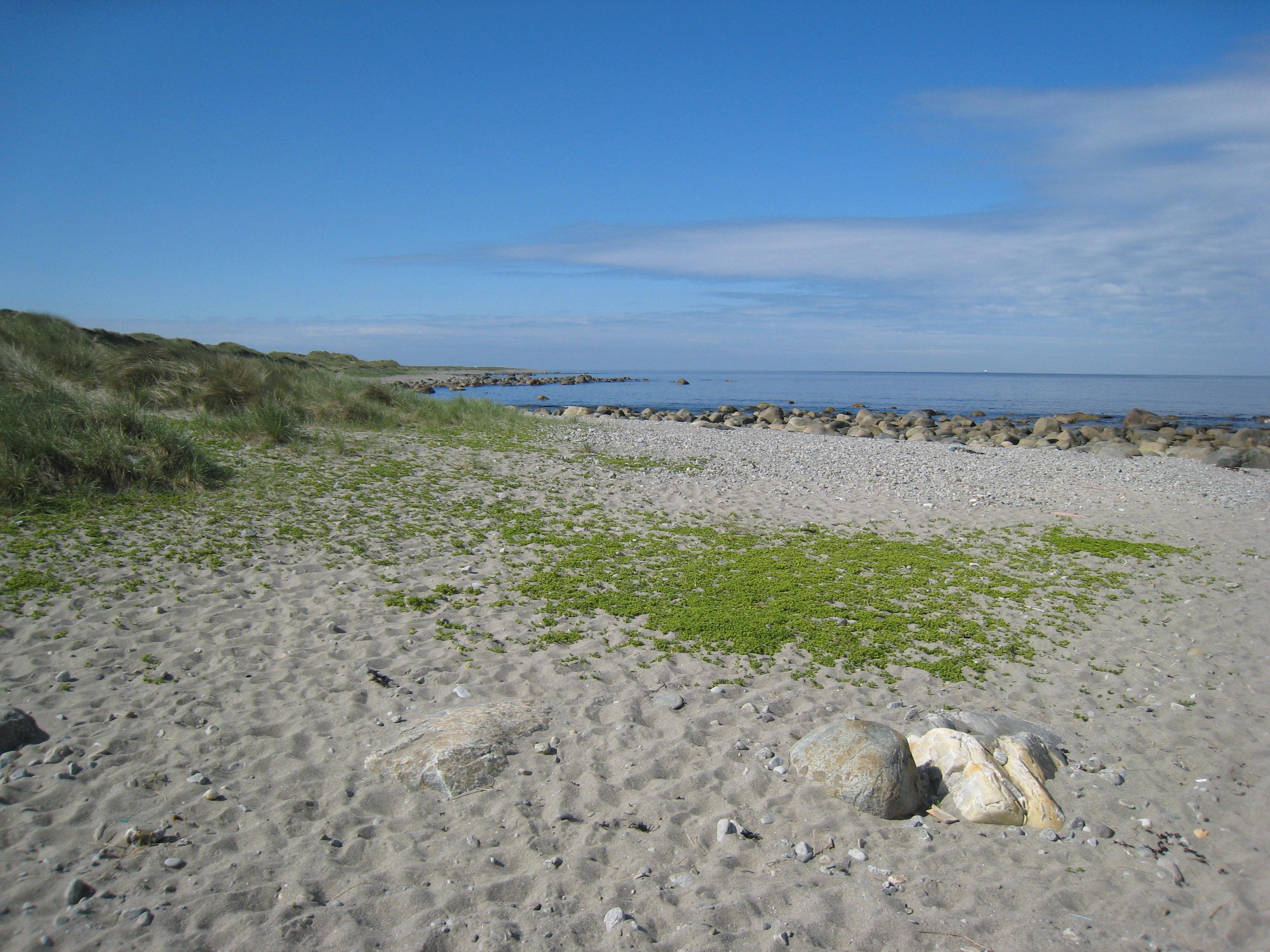 Statlige planretningslinjer for differensiert strandsoneforvaltning Evaluering satt i gang høsten 2014 (forutsatt