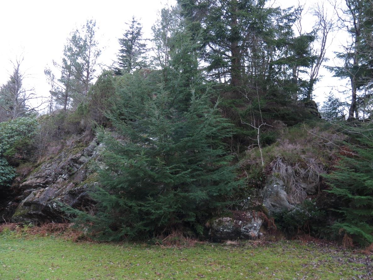 8 Bilder Bilde 1. Planområdet er karakterisert av et kupert landskap med små dalsøkk og 6-10 m høye bergskråninger. Bildet er tatt mot nordvest. Bilde 2.