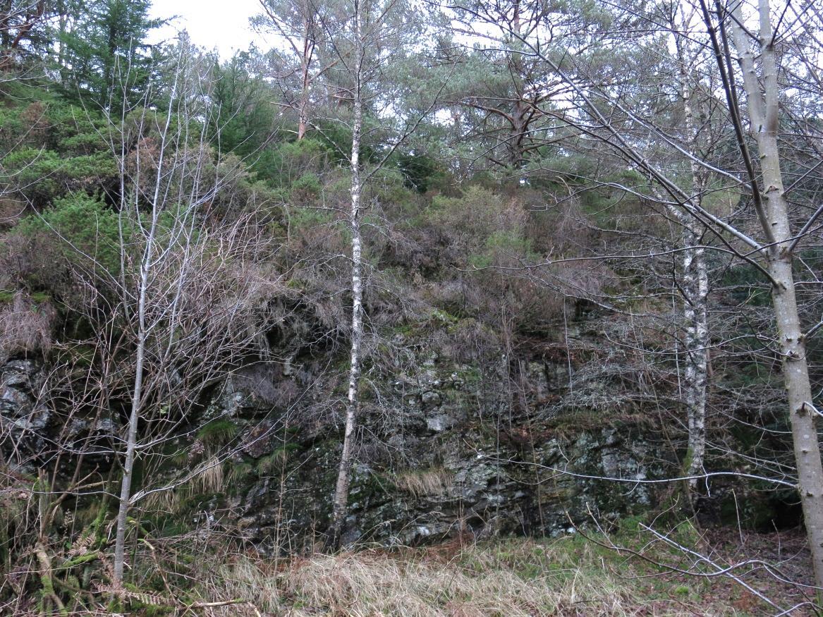 Bilde 3. Et eksempel av høye bergskråninger som finnes i den nordlige delen av planområdet, der det er vurdert potensiell fare for steinsprang. Bildet er tatt ca. mot nord. Bilde 4.