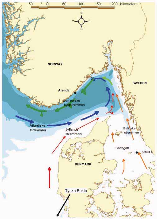 4 Indre Skagerrak (5-3 m) 4.1 Desember - april Den norske kyststrømmen langs Skagerrakkysten og utenfor Oslofjorden tilføres vann fra Kattegat og Nordsjøen (Figur 2).
