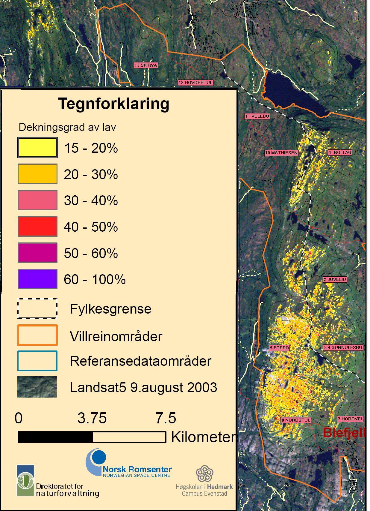 Bilde viser lavforekomster på Blefjell