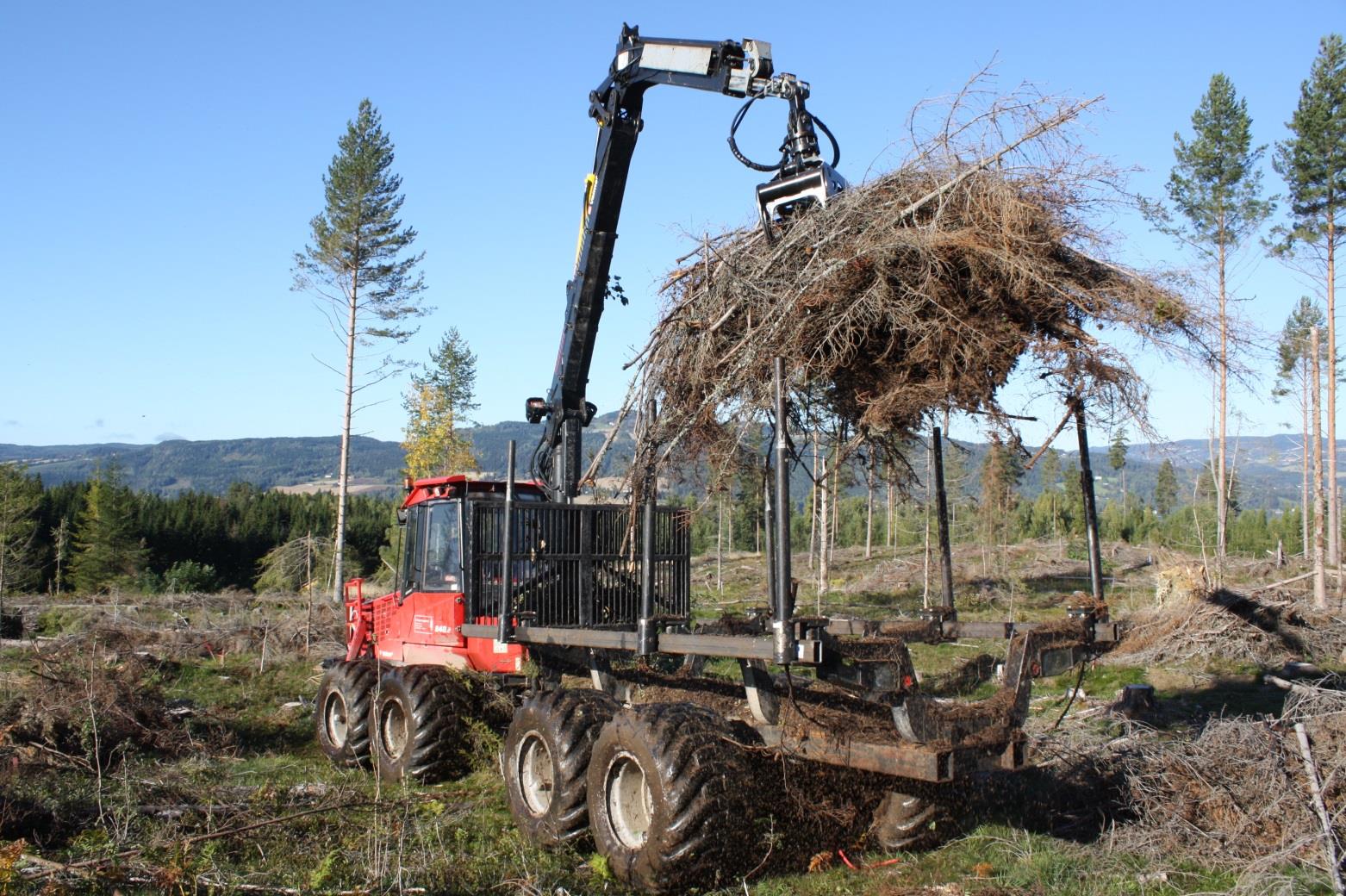 Økologiske konsekvenser av økt biomasseuttak fra skog i Norge: Introduksjon til