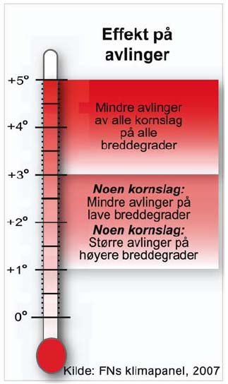 FNs klimapanels hovedrapport Arter vil forsvinne Flere rammes av flom og tørke De fattige rammes hardest