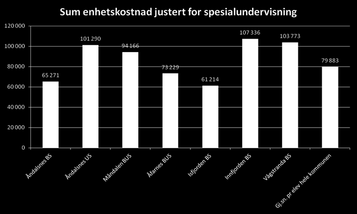 Oppvekst: Store forskjeller mellom enhetene Presentasjon Rauma kommune 13.03.