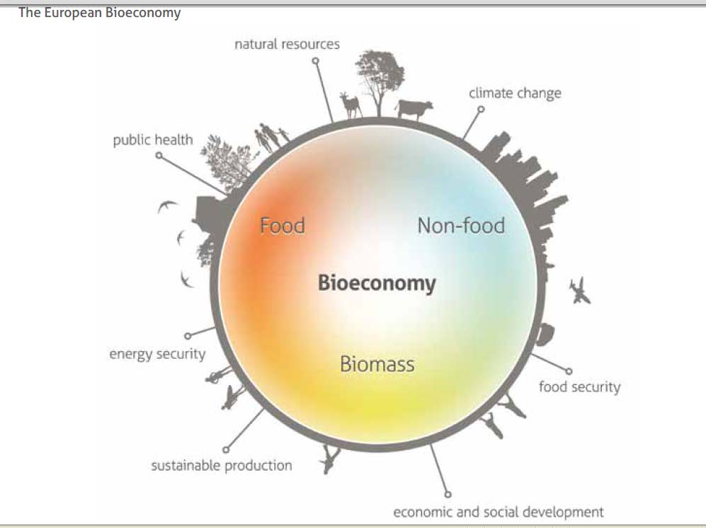 Kunnskapsbasert og bærekraftig bioøkonomi