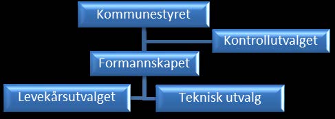 5 Politisk styring/kontroll og revisjon Dagens politiske organisering er slik etter opprettelsen av Levekårsutvalget og nedleggelsen av OKstyret og HO-styret.