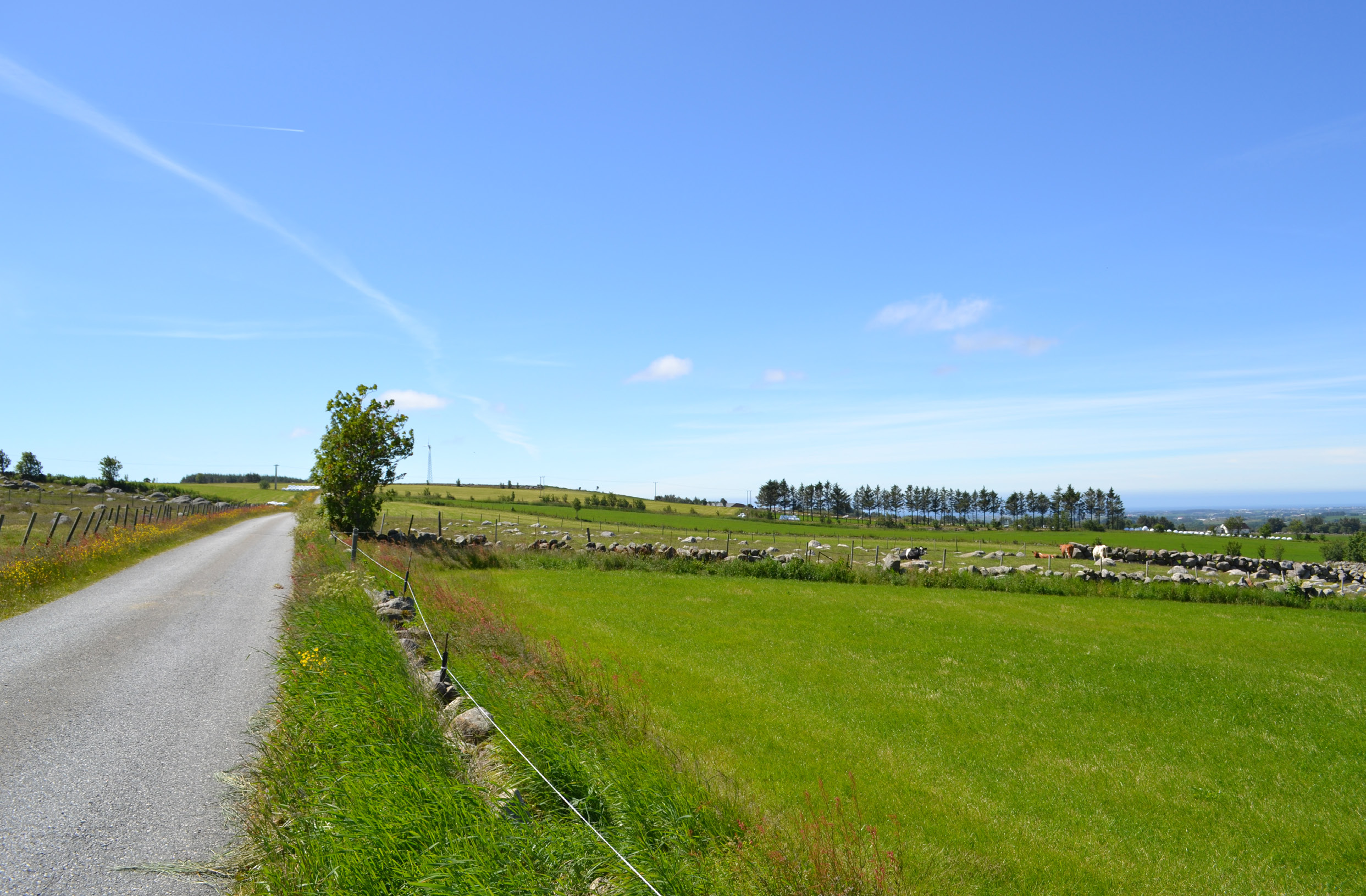 NESTEN HELT PÅ TOPPEN AV JÆREN. HØGJÆREN. FRODIG LANDSKAP.