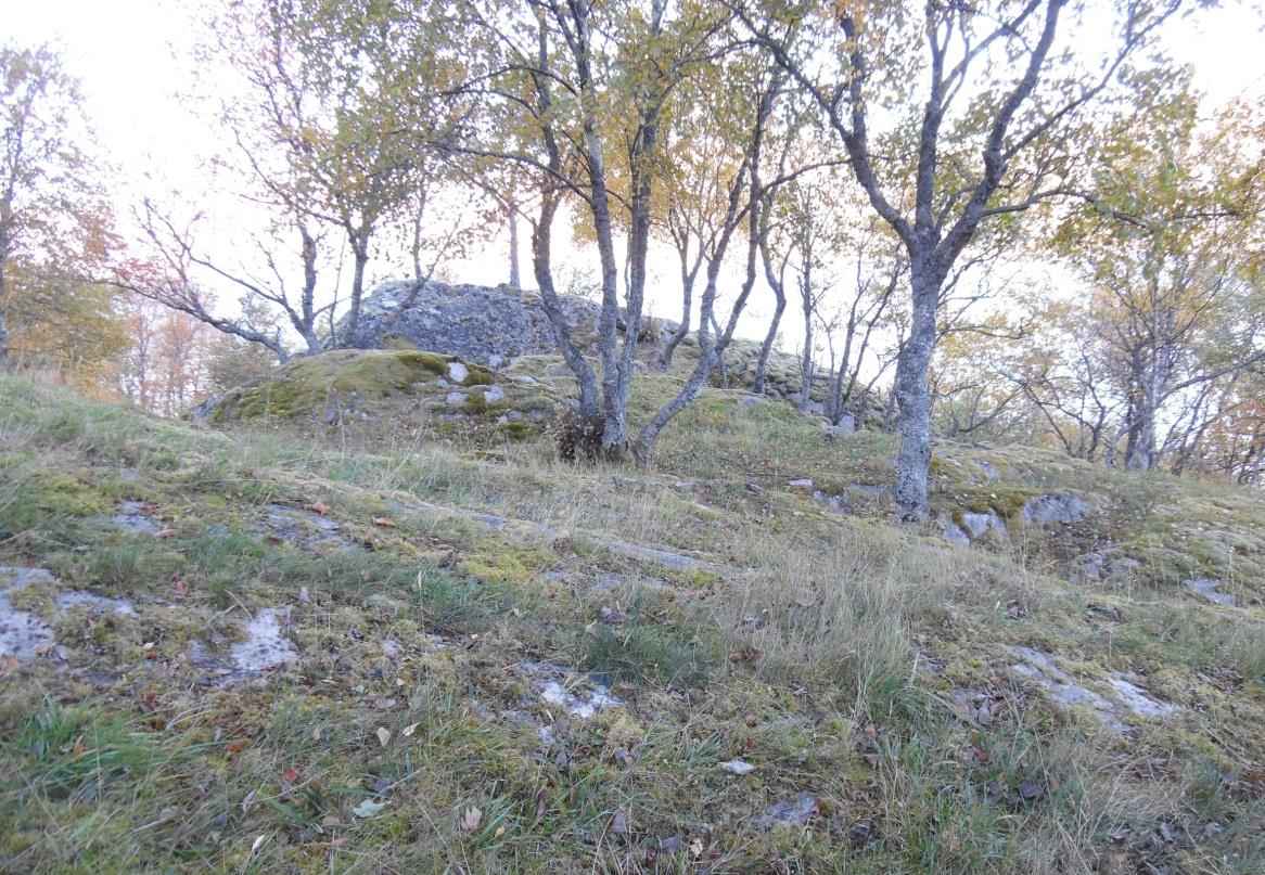 VÅR VURDERING ETTER NATURMANGFALDSLOVA: Generelt: Vurderinga gjeld planområdet og tilstøytande område.