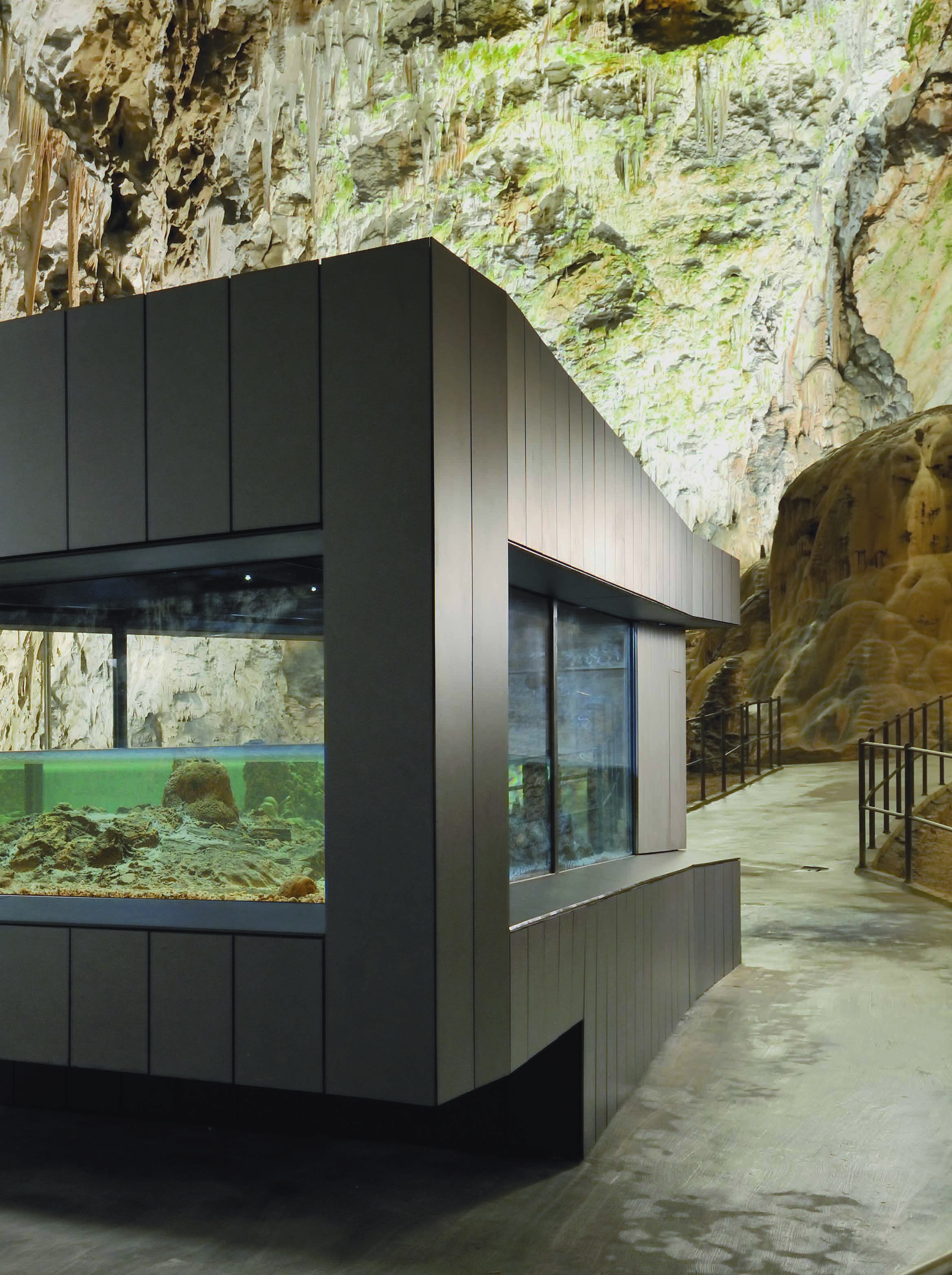 SLOVENIA Aquarium for the 'Human Fish', Postojna Cave ARCH