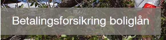 Pensjonskurs for Buvik Elektro Møte med DLE i Nord-Trøndelag 29.10 møtte vi DLE (det lokale eltilsyn) i Nord-Trøndelag. Det er NTE som har tilsynsansvaret i hele Nord- Trøndelag.