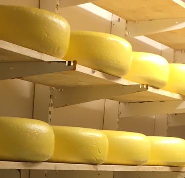 Fleksibilitet i småskala osteproduksjon Ta utgangspunkt i farevurderingen: Type produkt som blir produsert (bløte oster, faste oster mv) Mengde som blir produsert