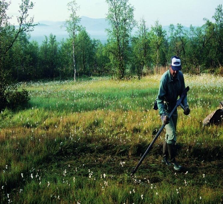 12 Prinsippet om miljøforsvarlige teknikker, driftsmetoder og lokalisering For å unngå eller begrense skade på naturmangfoldet Foto: Statnett skal det tas