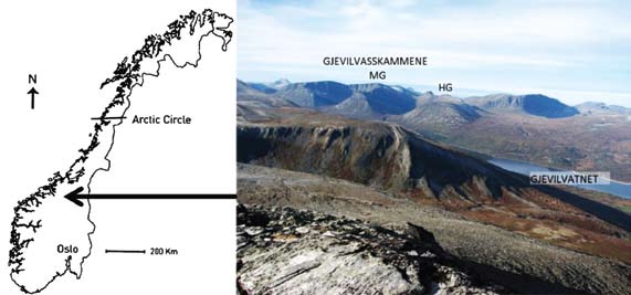 Terje Thun 1 Figur 1. Kart som viser beliggenheten til mineraljordlagene på henholdsvis Midtre Gjevilvasskam (MG) og Hemre Gjevilvasskam (HG) i Trollheimen, Oppdal kommune.
