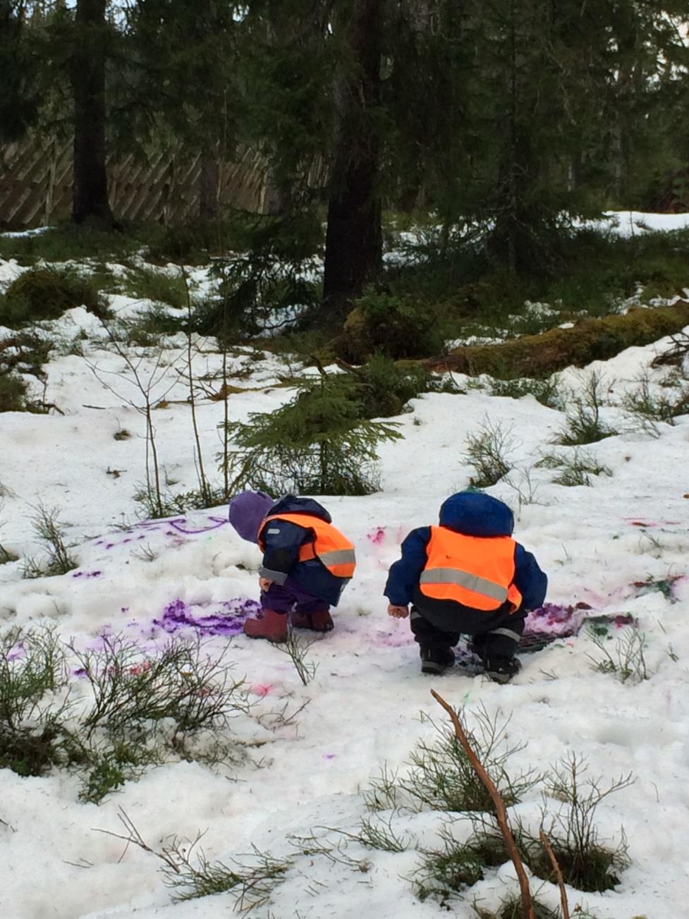 Turglimt fra Rådyrgjengen Januar 2017 Januar er forbi og vi er godt i gang med det nye året. Januar har i år vist oss både vinter, høst og vår. Vi er godt i gang med turene og vi har vært en del ute.