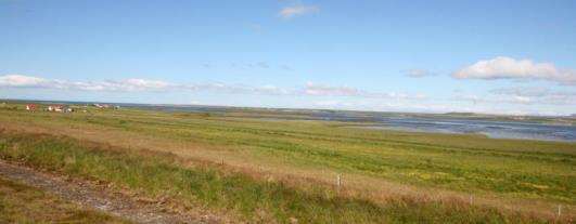 Strandlínan er fjölbreytileg- séð í norður Horft í SV frá Hafnarmelum ( ljósm. Áskell Þórisson) Eftirfarandi dæmi sýnir lýsingu á einkennissvæði 1 - þrep / áfangi III (túlkun) ásamt matstöflu.