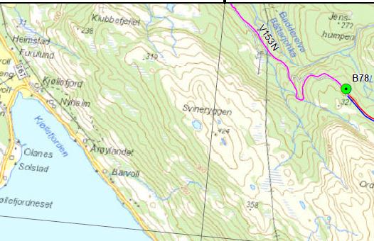Figur 6 viser ny vei V153N langs Badderelva (rosa strek) Statnett har vurdert at denne veien vil være lite synlig fra omkringliggende områder, ettersom den går i et dalsøkk gjennom bjørkeskog.