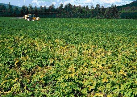 faglig oppfølging i landbruket etter flommen på Østlandet i 1995. 39 s. Vagstad, N., Eggestad, H.O. & Øygarden, L. 1995. Flomskader på jordbruksarealene. Foreløbige anbefalinger for utbedringstiltak.