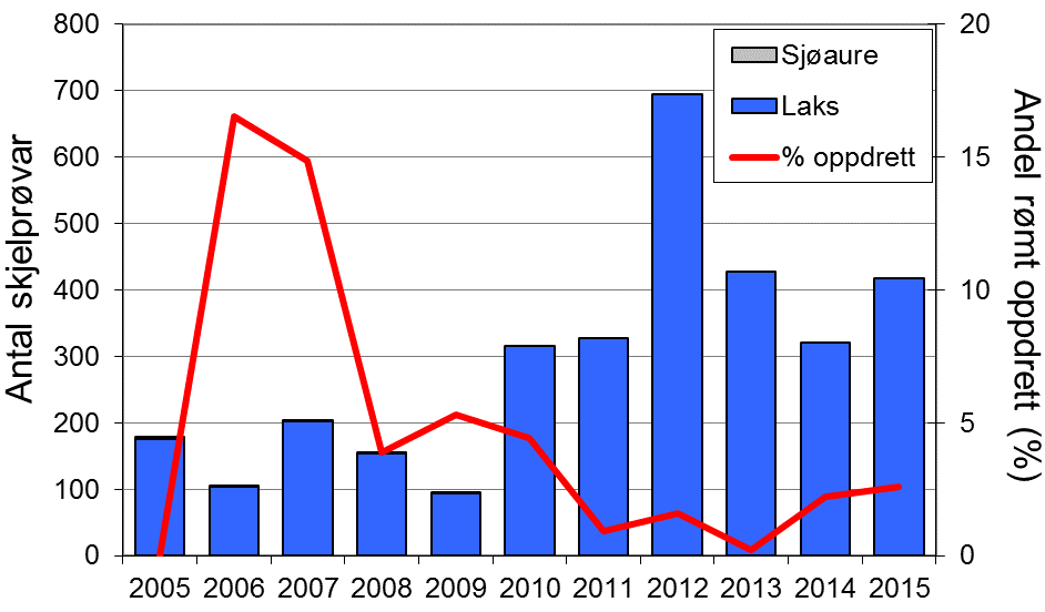 FANGST OG SKJELPRØVAR I VORMA Gjennomsnittleg årsfangst i perioden 1977-2015 var 262 laks (snittvekt 3,3 kg) og 49 sjøaurar (snittvekt 0,8 kg).