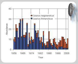 97 Fig. 7. Endringer i planktonsamfunn, sentrale Nordsjøen, 1958-2006. (Edwards et al: 2009, Ecological Status Report: results from the CPR survey 2007/2008). Fig.8. Forholdet mellom C.