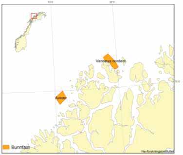 Området ligger tett inntil gyteområde for nordøstarktisk torsk med gyting i februarmars, jf. kapittel 4.1, figur 4.7. Området ligger innenfor område for høye konsentrasjoner av steinkobbe, jf.