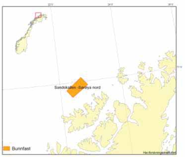 Figur 3.9. Utredningsområdet Sandskallen Sørøya. Sandskallen ligger dels innenfor og dels tett inntil et MVO i sørvest, jf. kapittel 4.4, figur 4.25 og 4.26.