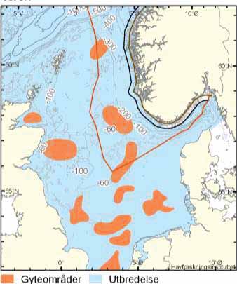 likevel bedre å utarbeide prognoser for kysttorsk som helhet i påvente av at bestandsstrukturen kartlegges.