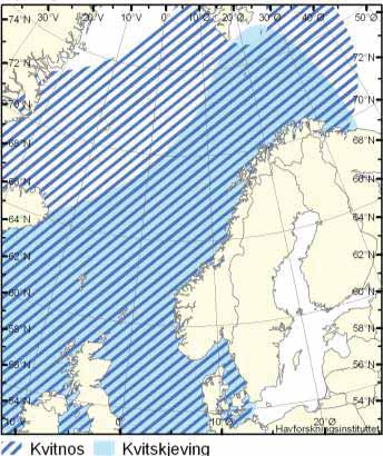 og regnes å være knyttet til sokkelområder, mens kvitskjevingen ser ut til å foretrekke sokkelkanter mot dypere hav. Kvitnosen kan bli 2,5-3 m lang og veie opp mot 350 kg med typisk vekt 200-230 kg.