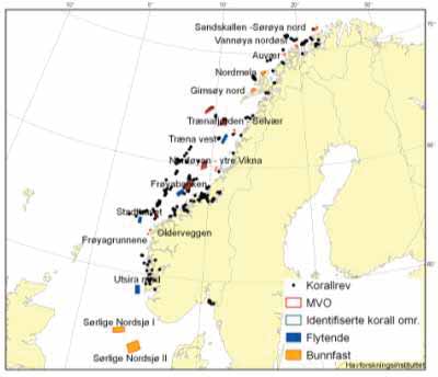 4.4 Korallrev og korallskoger Steinkorall (Lophelia pertusa) finnes langs hele kysten fra Østfold til Finnmark, med unntak av langs sørlandskysten og helt øst i Finnmark. Disse dypvannskorallene.