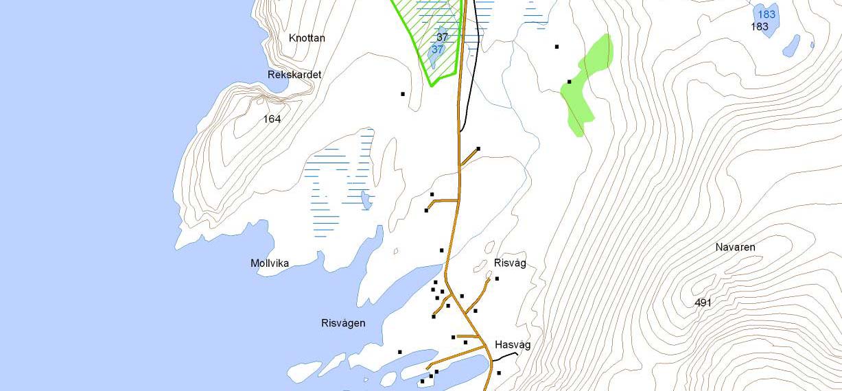 Prioritert viltområde 5009 Myr ved Risvågdalen Verdisetting B viktig viltområde Høyde over havet (m) 40-60 UTM (WGS84) 34W 542744 7823780 Denne myra er et