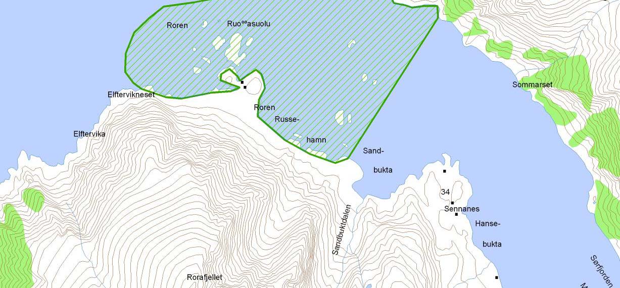Prioritert viltområde 5014 Sørfjorden, Stjernøya Verdisetting B viktig viltområde Høyde over havet (m) 0 UTM (WGS84) 34W 553404 7806377 Dette er et viktig marint gruntområde der det overvintrer en