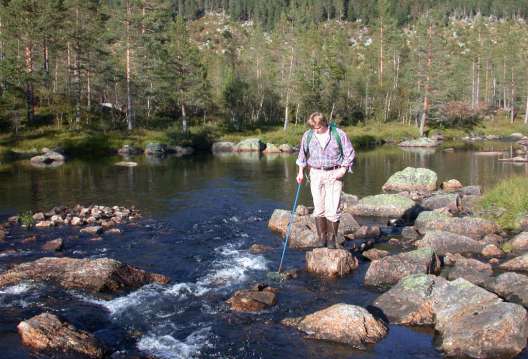 Vurdere miljøtilstand Finne fram grunnlagsdata Nasjonale databaser