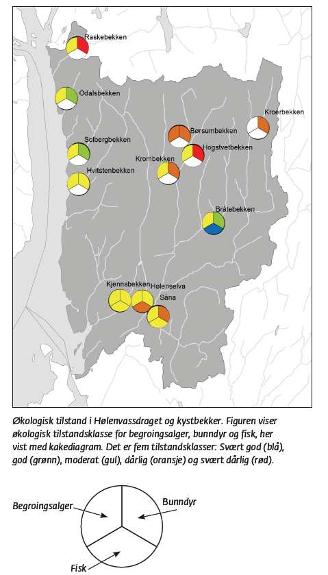 Hølenvassdraget økologisk tilstand 12 elver/bekker og konsekvenser for karakterisering Økologisk tilstand bunndyr (organisk belastning) 2 svært dårlig, 4 dårlig, 3 moderat, 3 god tilstand Stemmer