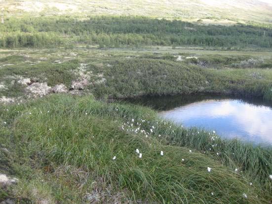 2005 2010 Figur 4: Palsplatå med dam på Haukskardmyrinområdet. Store deler av den torva som erosjonskanten bestod av i 2005 har falt ned i dammen, som hadde blitt betydelig større i 2010.
