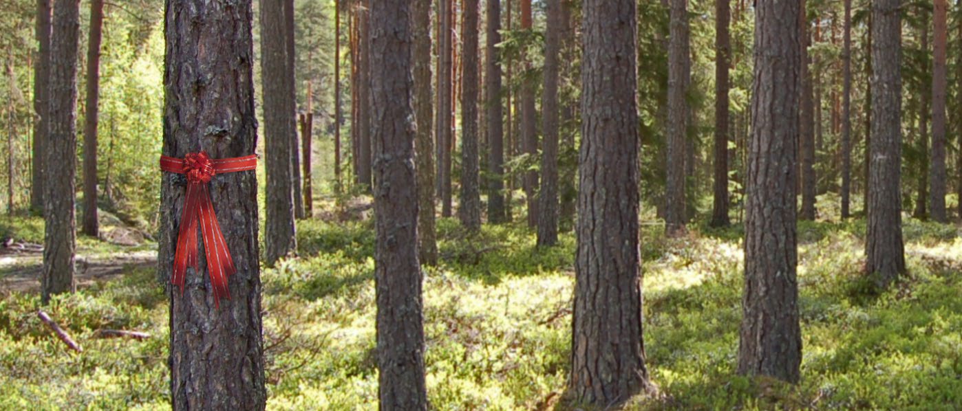 KUNNSKAP OG INSPIRASJON TJENESTER DET LILLE EKSTRA Bergene Holm AS en merkevare i norsk byggevarehandel.