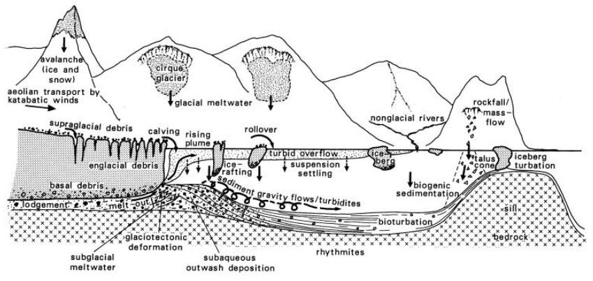 Figur 6.8: Hovedprosesser og avsetninger i en glasiert fjord (Hambrey 1994).