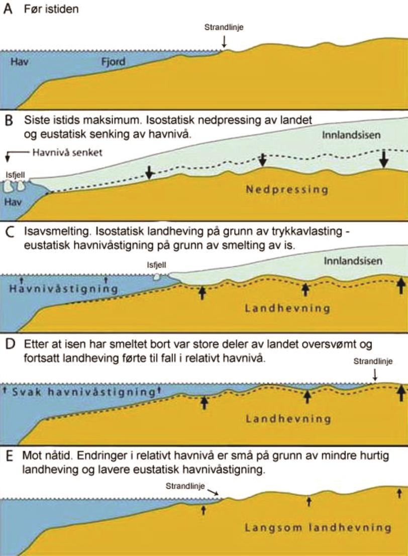 Figur 2.12: Illustrasjon som viser hvordan isostatiske og eustatiske mekanismer påvirker det relative havnivået (Høgaas et al.