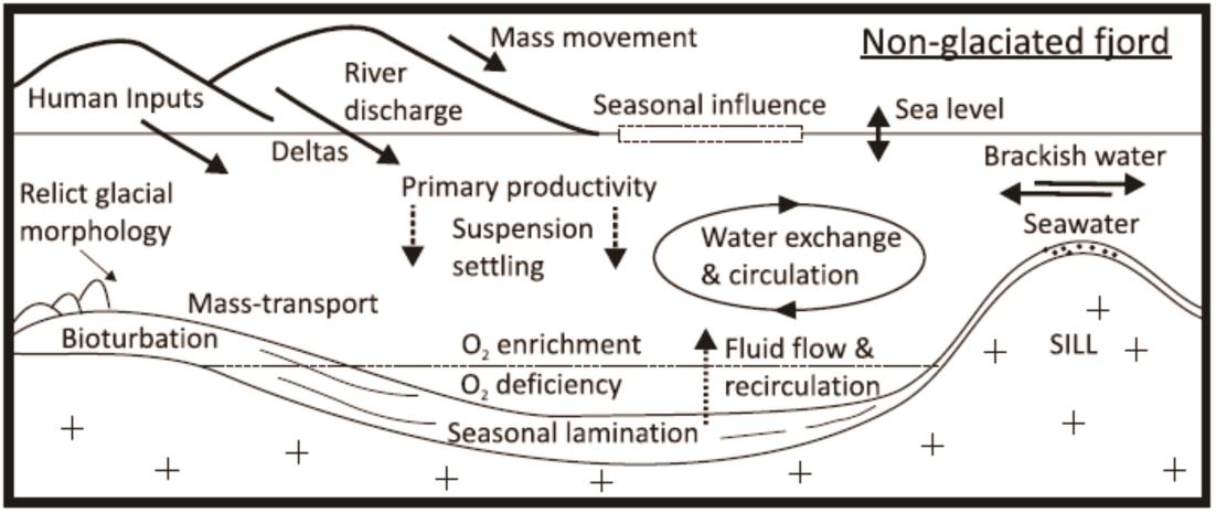 Figur 2.16: Illustrasjon som viser sedimentære prosesser og avsetningsmiljø for en ikkeglasiert fjord (Howe et al. 2010) Sedimentkilden til fjordene er i hovedsak terrestrisk materiale.