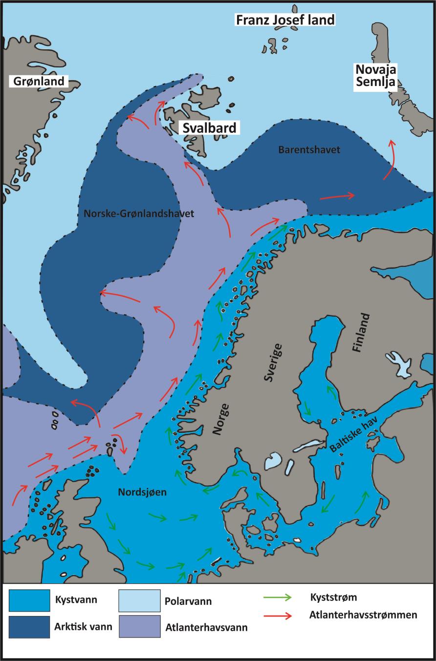 2.8 Oseanografi- Hydrografi 2.8.1 Generell oseanografi på kontinentalhylla utenfor Troms På kontinentalhylla utenfor Troms er det to dominerende havstrømmer som strømmer nordover langs vestkysten av